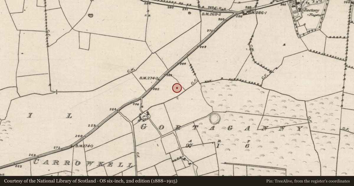 Ordnance Survey six-inch map, 2nd edition (1888–1915) covering the location of Ringfort - rath, Carrowkeel, County Galway, with a pin at the register's coordinates