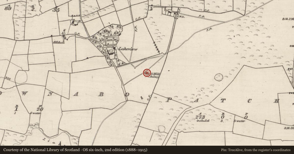Ordnance Survey six-inch map, 2nd edition (1888–1915) covering the location of Windmill, Carrownabo, County Galway, with a pin at the register's coordinates