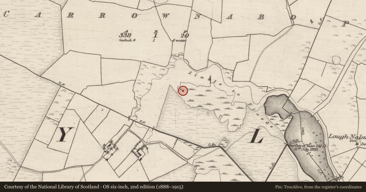 Ordnance Survey six-inch map, 2nd edition (1888–1915) covering the location of Crannog, Carrownabo, County Galway, with a pin at the register's coordinates