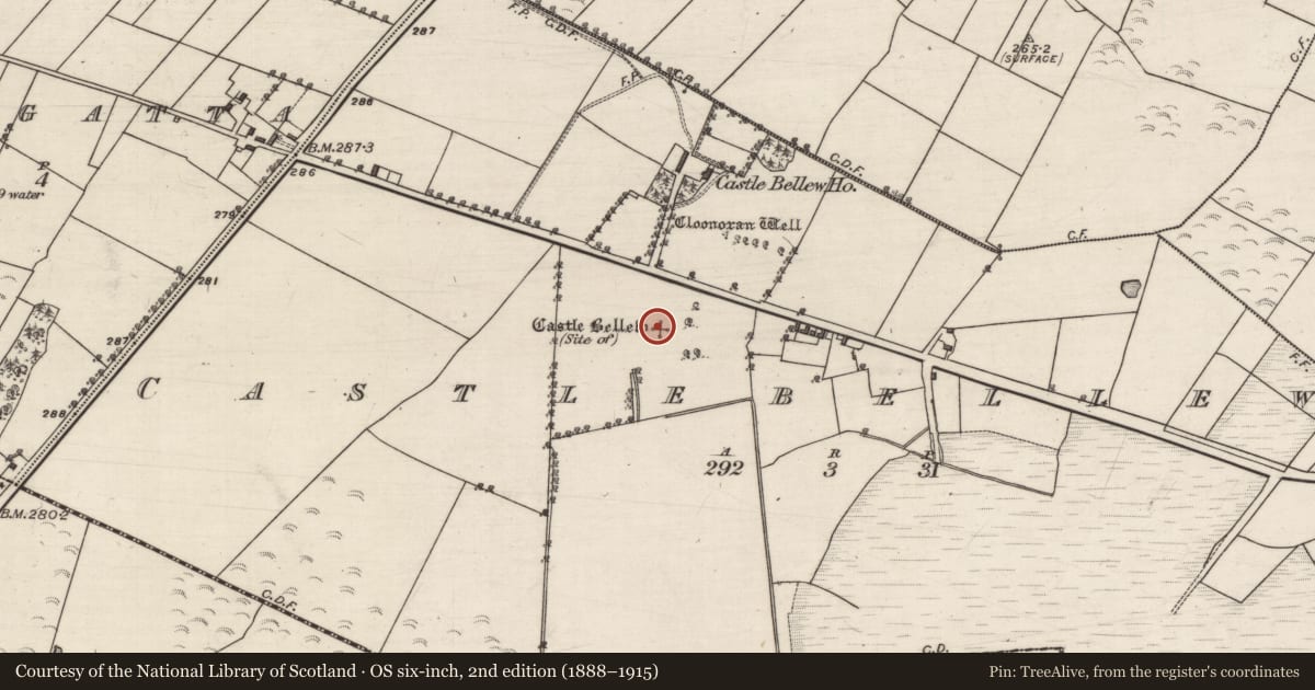 Ordnance Survey six-inch map, 2nd edition (1888–1915) covering the location of Castle - unclassified, Castlebellew, County Galway, with a pin at the register's coordinates