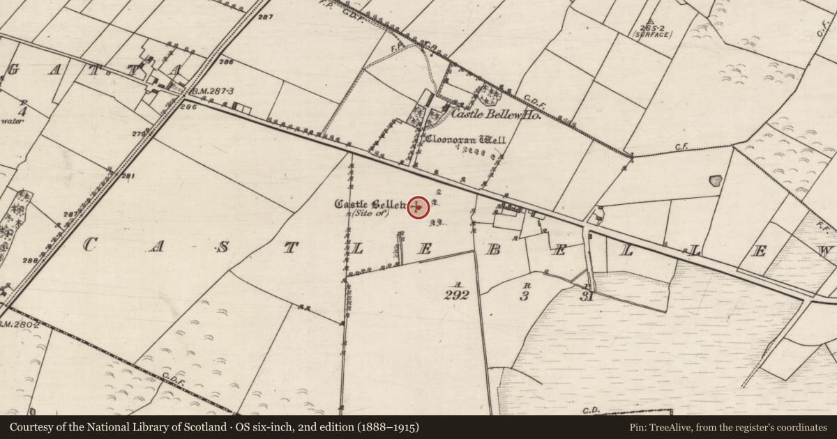 Ordnance Survey six-inch map, 2nd edition (1888–1915) covering the location of Field system, Castlebellew, County Galway, with a pin at the register's coordinates