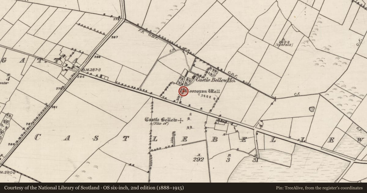 Ordnance Survey six-inch map, 2nd edition (1888–1915) covering the location of Ritual site - holy well, Castlebellew, County Galway, with a pin at the register's coordinates