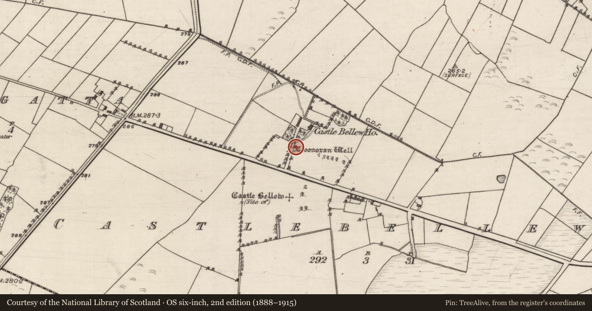 Ordnance Survey six-inch map, 2nd edition (1888–1915) covering the location of Ritual site - holy tree/bush, Castlebellew, County Galway, with a pin at the register's coordinates