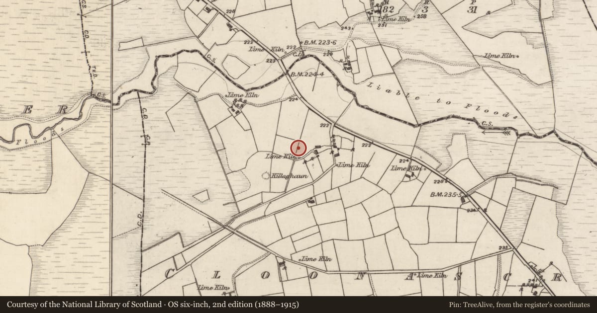 Ordnance Survey six-inch map, 2nd edition (1888–1915) covering the location of Souterrain, Cloonascragh, County Galway, with a pin at the register's coordinates