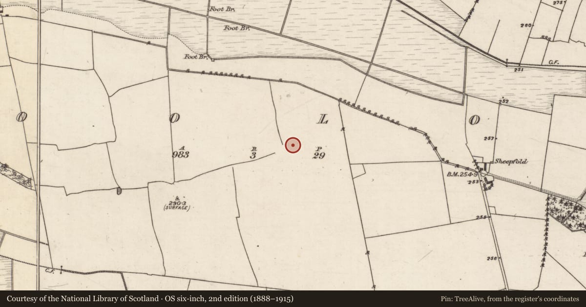 Ordnance Survey six-inch map, 2nd edition (1888–1915) covering the location of Children's burial ground, Cooloo, County Galway, with a pin at the register's coordinates