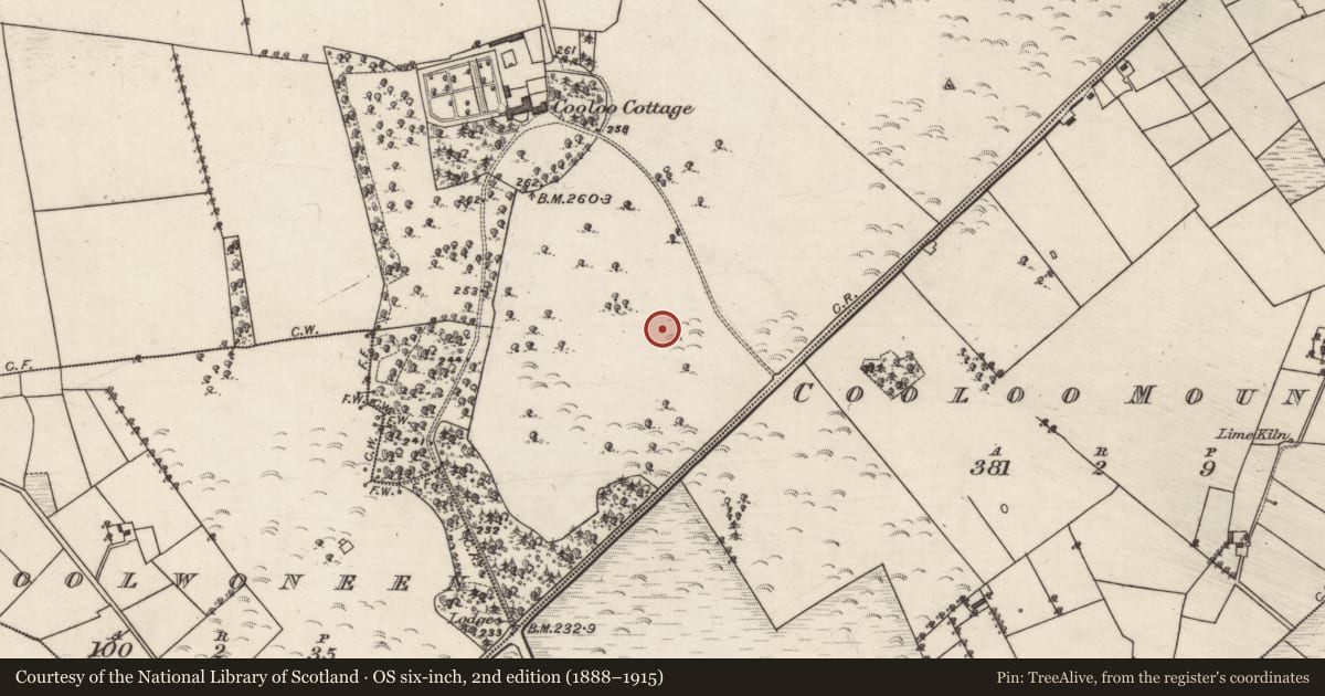 Ordnance Survey six-inch map, 2nd edition (1888–1915) covering the location of Burial, Cooloo, County Galway, with a pin at the register's coordinates