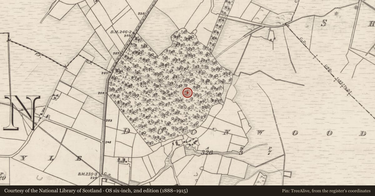 Ordnance Survey six-inch map, 2nd edition (1888–1915) covering the location of Ringfort - rath, Doonwood, County Galway, with a pin at the register's coordinates