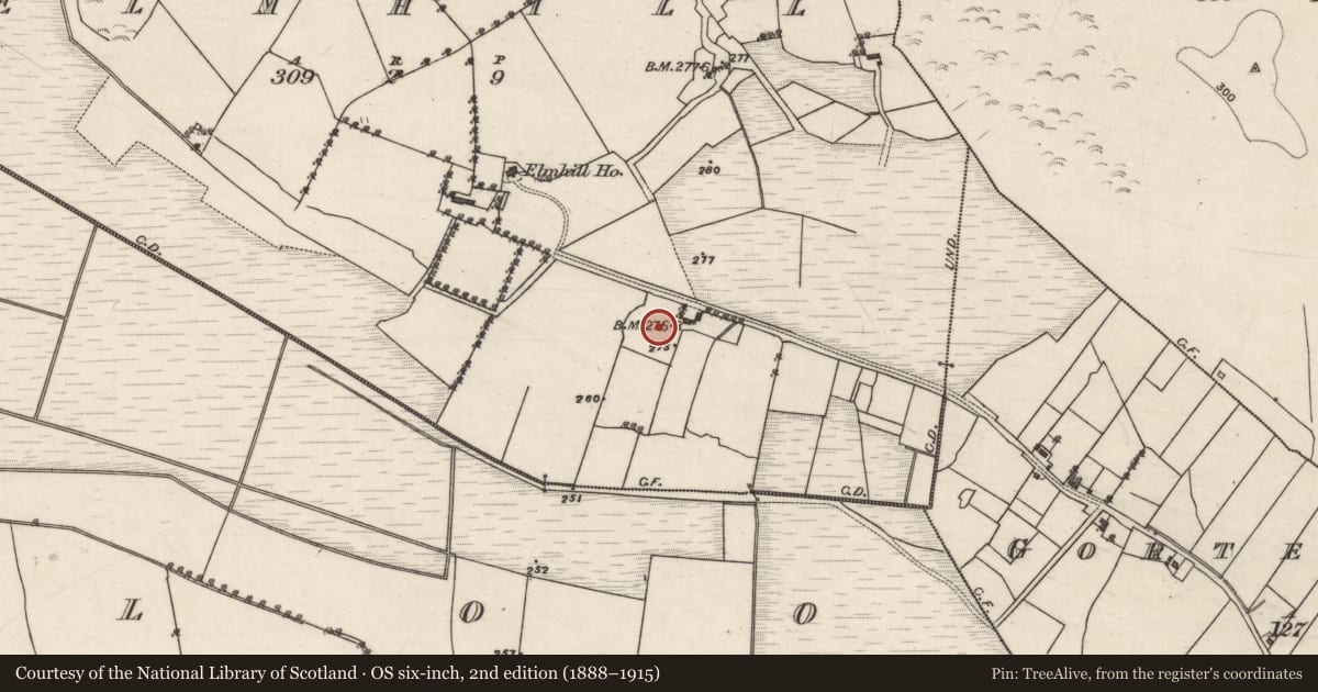 Ordnance Survey six-inch map, 2nd edition (1888–1915) covering the location of Souterrain, Elmhill, County Galway, with a pin at the register's coordinates
