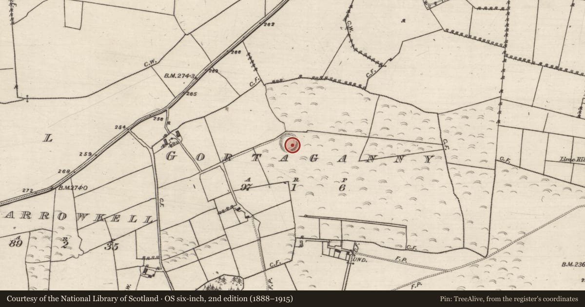 Ordnance Survey six-inch map, 2nd edition (1888–1915) covering the location of Ringfort - rath, Gortaganny, County Galway, with a pin at the register's coordinates