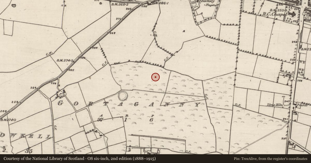 Ordnance Survey six-inch map, 2nd edition (1888–1915) covering the location of Enclosure, Gortaganny, County Galway, with a pin at the register's coordinates