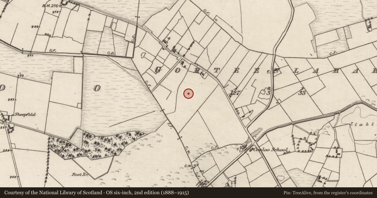 Ordnance Survey six-inch map, 2nd edition (1888–1915) covering the location of Ringfort - rath, Gorteenlahard, County Galway, with a pin at the register's coordinates