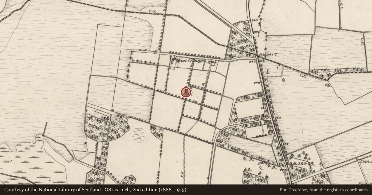 Ordnance Survey six-inch map, 2nd edition (1888–1915) covering the location of Designed landscape feature, Moat, County Galway, with a pin at the register's coordinates