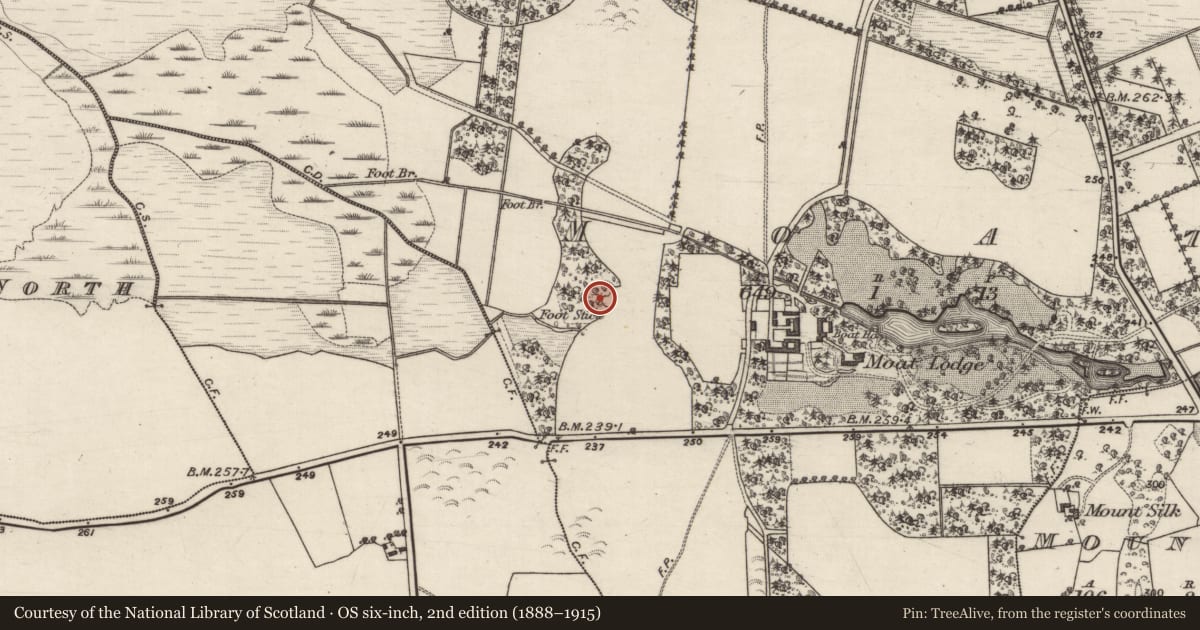 Ordnance Survey six-inch map, 2nd edition (1888–1915) covering the location of Moated site, County Galway, with a pin at the register's coordinates