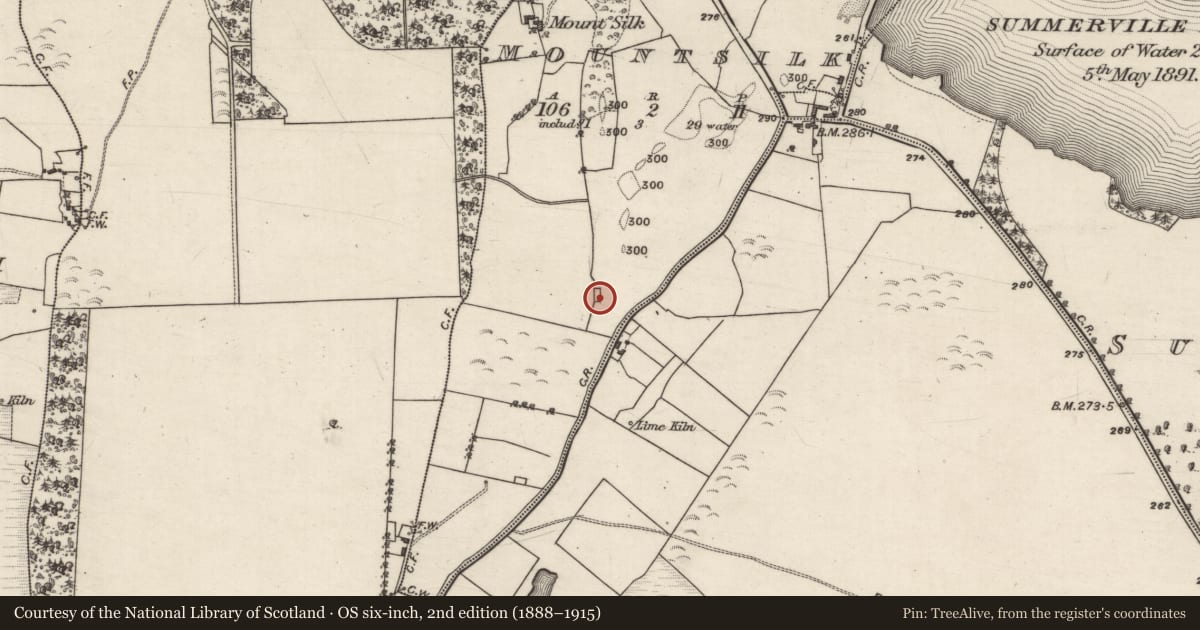 Ordnance Survey six-inch map, 2nd edition (1888–1915) covering the location of Church, Mountsilk, County Galway, with a pin at the register's coordinates