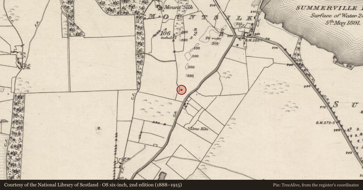 Ordnance Survey six-inch map, 2nd edition (1888–1915) covering the location of Bullaun stone, Mountsilk, County Galway, with a pin at the register's coordinates