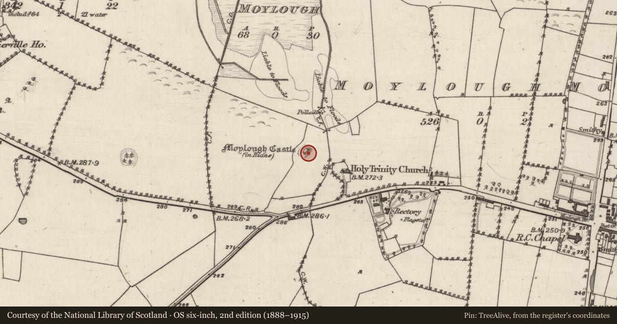 Ordnance Survey six-inch map, 2nd edition (1888–1915) covering the location of Earthwork, Moylough, County Galway, with a pin at the register's coordinates
