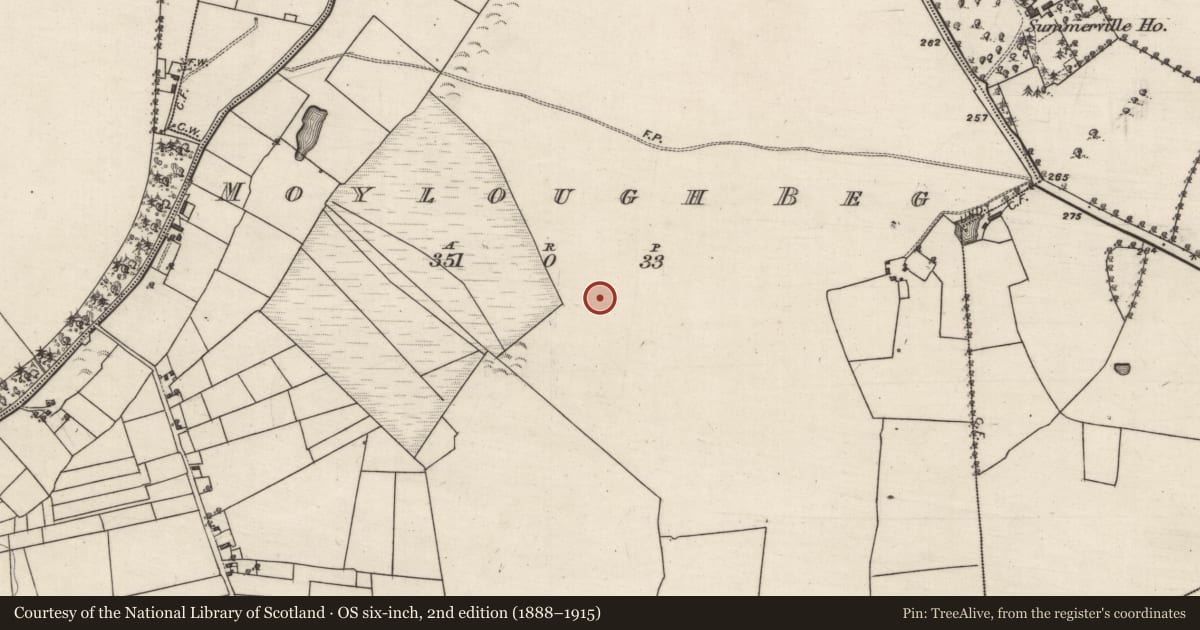 Ordnance Survey six-inch map, 2nd edition (1888–1915) covering the location of Enclosure, Moylough Beg, County Galway, with a pin at the register's coordinates