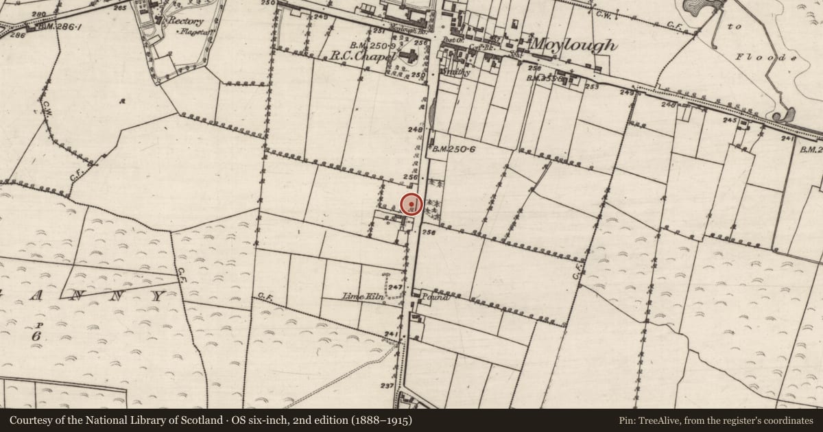 Ordnance Survey six-inch map, 2nd edition (1888–1915) covering the location of Chapel, Moylough More, County Galway, with a pin at the register's coordinates