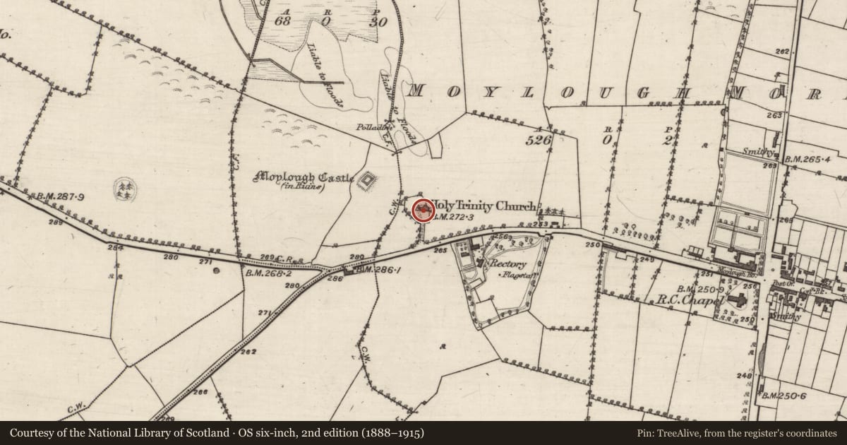 Ordnance Survey six-inch map, 2nd edition (1888–1915) covering the location of Graveyard, Moylough More, County Galway, with a pin at the register's coordinates