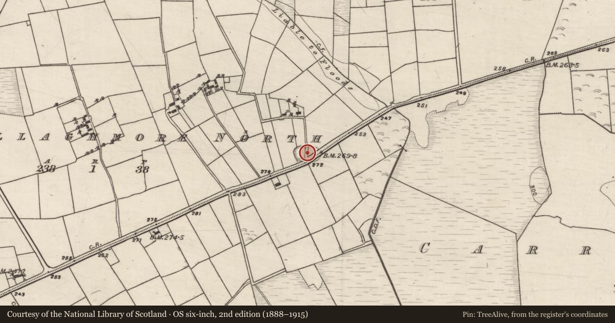 Ordnance Survey six-inch map, 2nd edition (1888–1915) covering the location of Ringfort - rath, Mullaghmore North, County Galway, with a pin at the register's coordinates