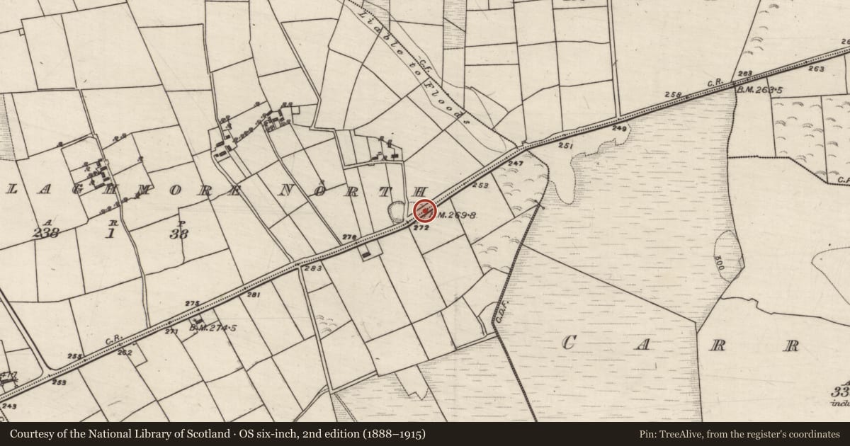 Ordnance Survey six-inch map, 2nd edition (1888–1915) covering the location of Ringfort - rath, Mullaghmore East, Mullaghmore North, County Galway, with a pin at the register's coordinates