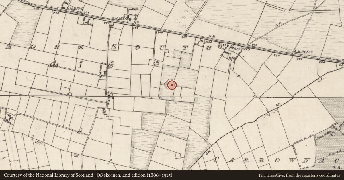 Ordnance Survey six-inch map, 2nd edition (1888–1915) covering the location of Souterrain, Mullaghmore South, County Galway, with a pin at the register's coordinates