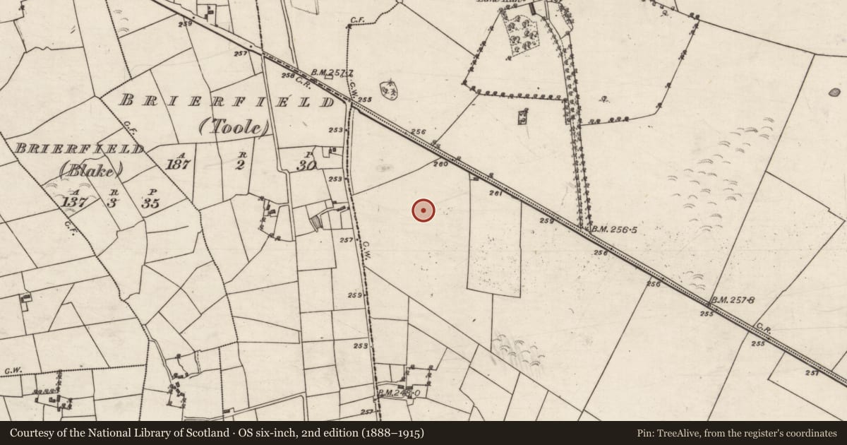 Ordnance Survey six-inch map, 2nd edition (1888–1915) covering the location of Enclosure, Mullaghmore South, County Galway, with a pin at the register's coordinates