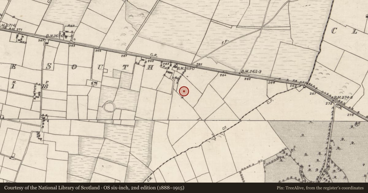 Ordnance Survey six-inch map, 2nd edition (1888–1915) covering the location of Children's burial ground, Mullaghmore South, County Galway, with a pin at the register's coordinates