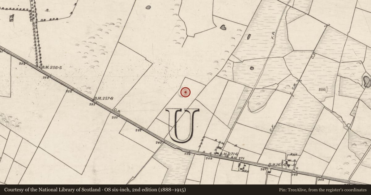 Ordnance Survey six-inch map, 2nd edition (1888–1915) covering the location of Ringfort - rath, Mullaghmore West, County Galway, with a pin at the register's coordinates