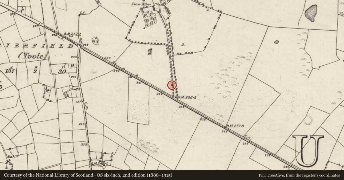 Ordnance Survey six-inch map, 2nd edition (1888–1915) covering the location of Castle - unclassified, Mullaghmore West, County Galway, with a pin at the register's coordinates