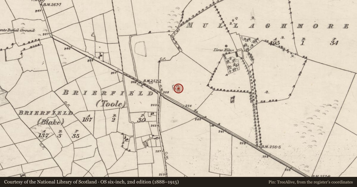 Ordnance Survey six-inch map, 2nd edition (1888–1915) covering the location of Enclosure, Mullaghmore West, County Galway, with a pin at the register's coordinates