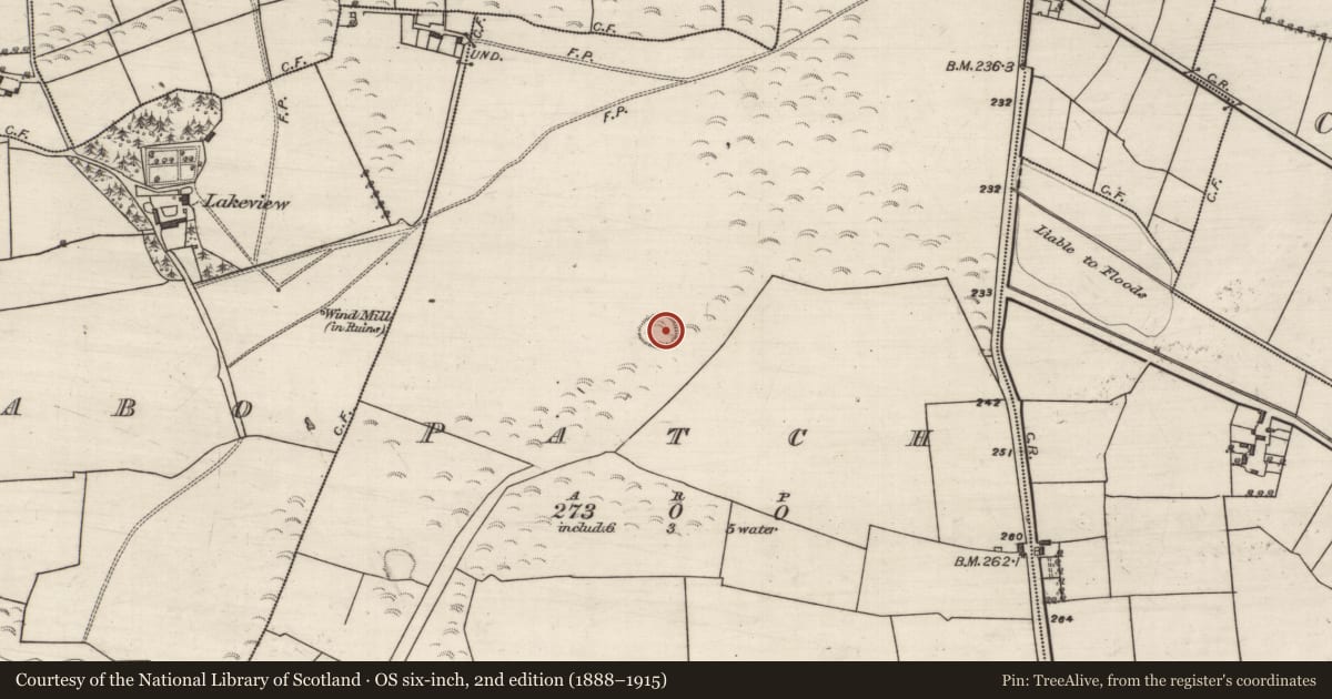 Ordnance Survey six-inch map, 2nd edition (1888–1915) covering the location of Ringfort - rath, Patch, County Galway, with a pin at the register's coordinates