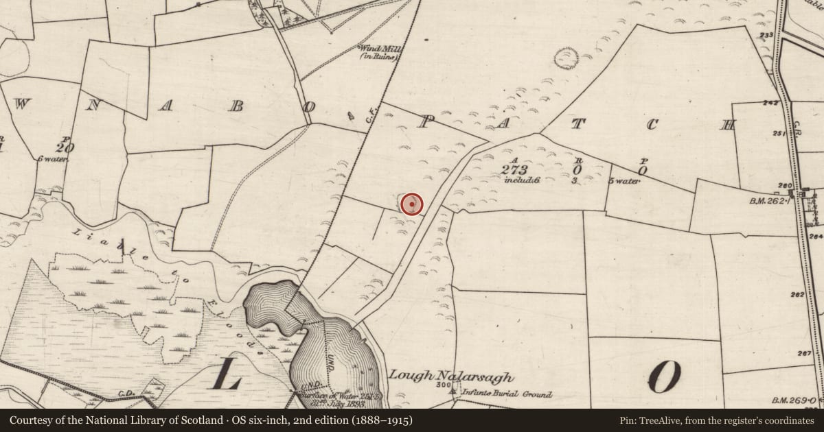 Ordnance Survey six-inch map, 2nd edition (1888–1915) covering the location of Ringfort - rath, Patch, County Galway, with a pin at the register's coordinates
