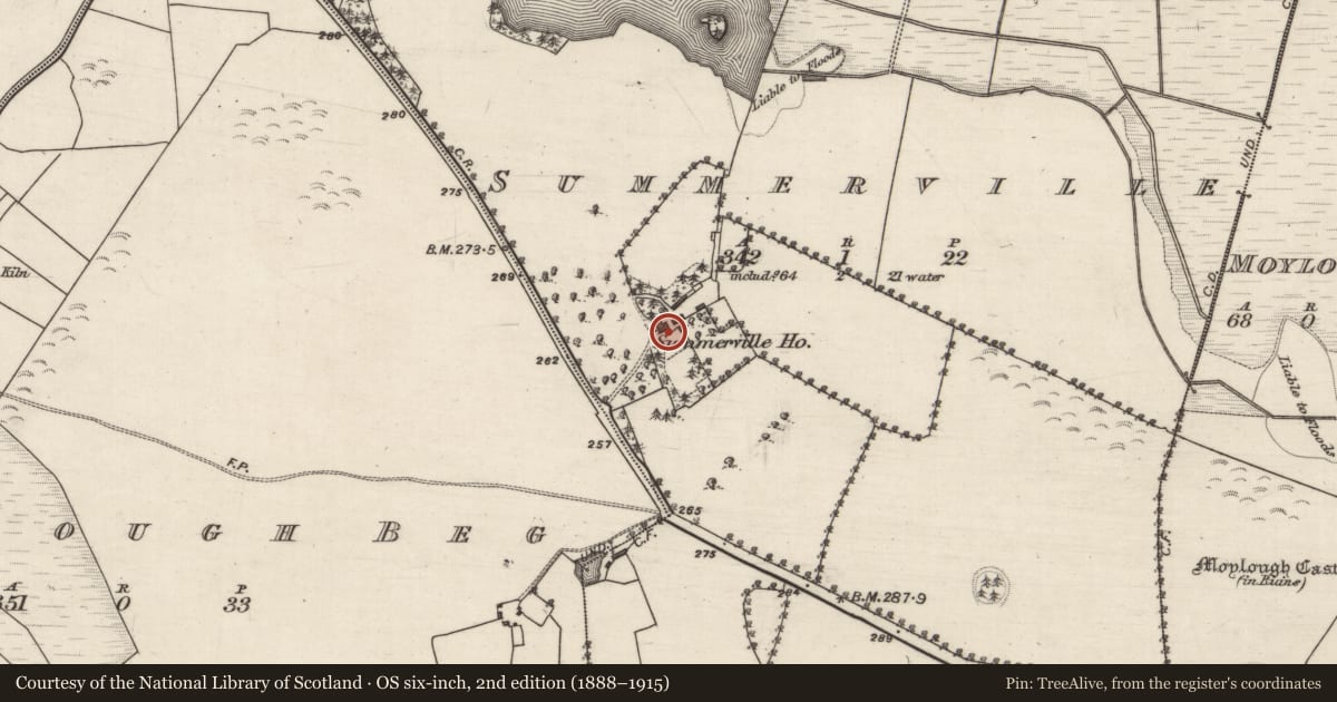 Ordnance Survey six-inch map, 2nd edition (1888–1915) covering the location of Country house, Summerville, County Galway, with a pin at the register's coordinates