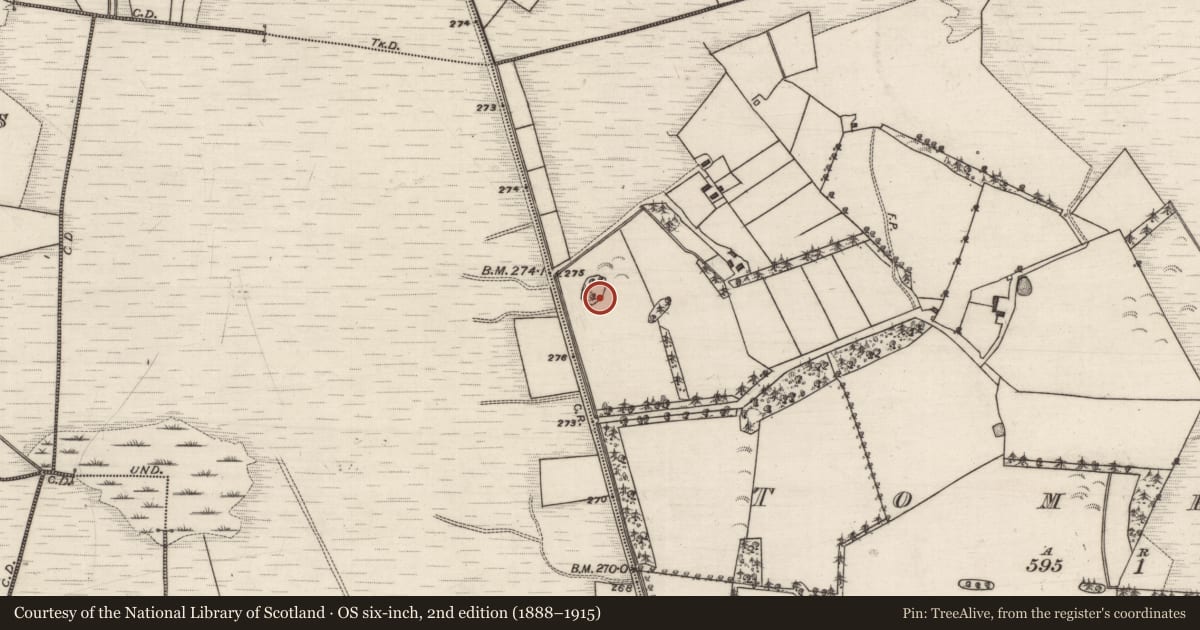 Ordnance Survey six-inch map, 2nd edition (1888–1915) covering the location of Enclosure, Tomree, County Galway, with a pin at the register's coordinates