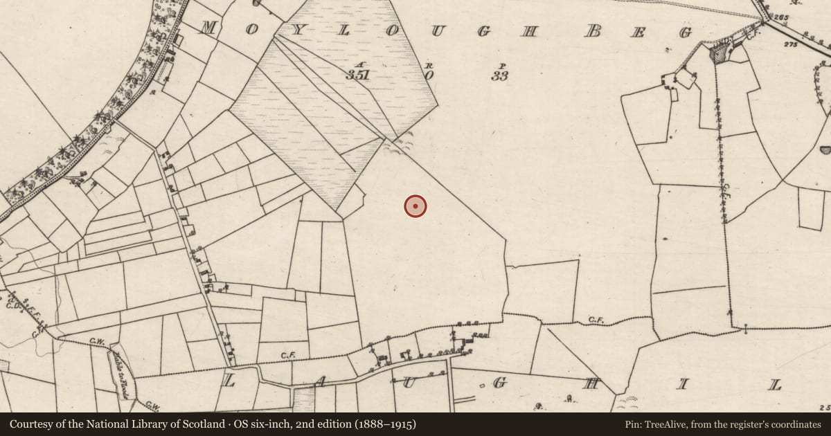 Ordnance Survey six-inch map, 2nd edition (1888–1915) covering the location of Ringfort - rath, Moylough Beg, County Galway, with a pin at the register's coordinates
