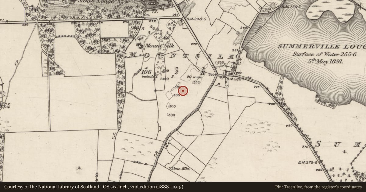 Ordnance Survey six-inch map, 2nd edition (1888–1915) covering the location of Building, Mountsilk, County Galway, with a pin at the register's coordinates