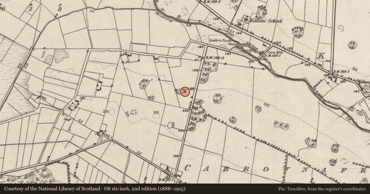 Ordnance Survey six-inch map, 2nd edition (1888–1915) covering the location of Designed landscape feature, Carrownafreevy, County Galway, with a pin at the register's coordinates