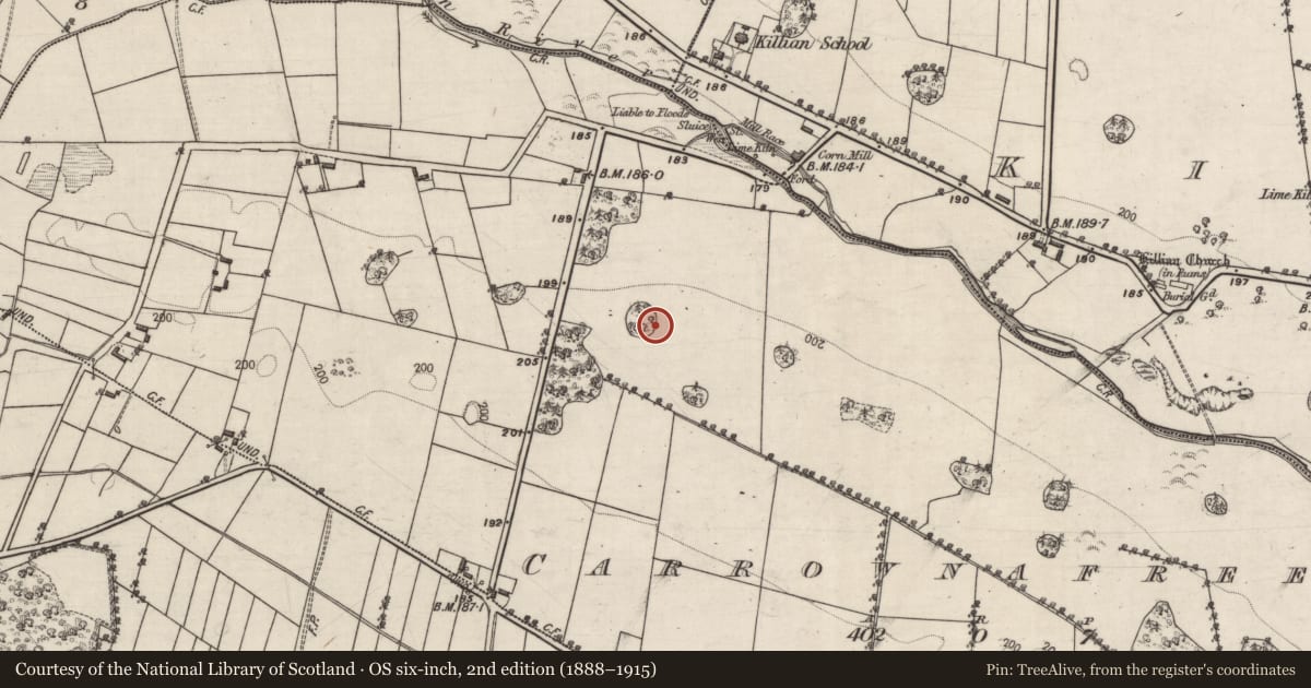 Ordnance Survey six-inch map, 2nd edition (1888–1915) covering the location of Designed landscape feature, Carrownafreevy, County Galway, with a pin at the register's coordinates
