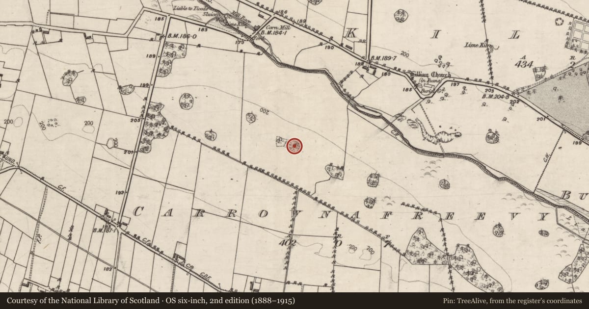 Ordnance Survey six-inch map, 2nd edition (1888–1915) covering the location of Designed landscape feature, Carrownafreevy, County Galway, with a pin at the register's coordinates