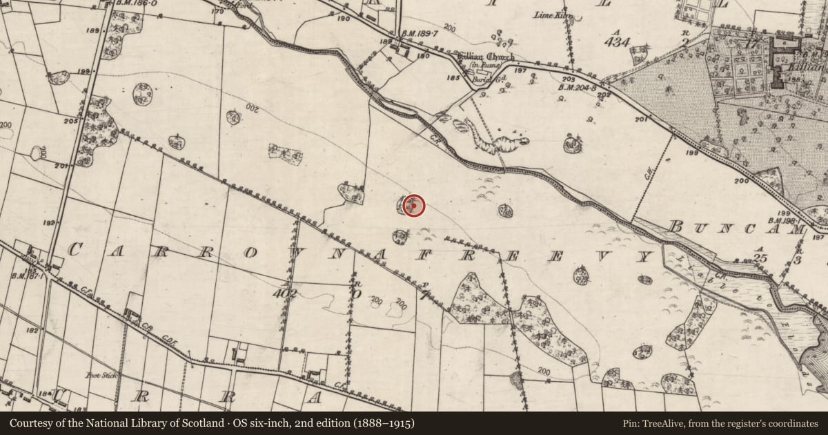 Ordnance Survey six-inch map, 2nd edition (1888–1915) covering the location of Designed landscape feature, Carrownafreevy, County Galway, with a pin at the register's coordinates