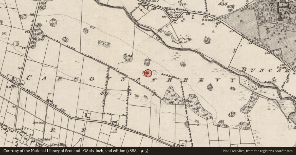 Ordnance Survey six-inch map, 2nd edition (1888–1915) covering the location of Designed landscape feature, Carrownafreevy, County Galway, with a pin at the register's coordinates