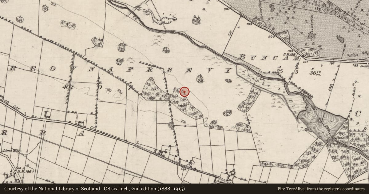 Ordnance Survey six-inch map, 2nd edition (1888–1915) covering the location of Designed landscape - tree-ring, Carrownafreevy, County Galway, with a pin at the register's coordinates