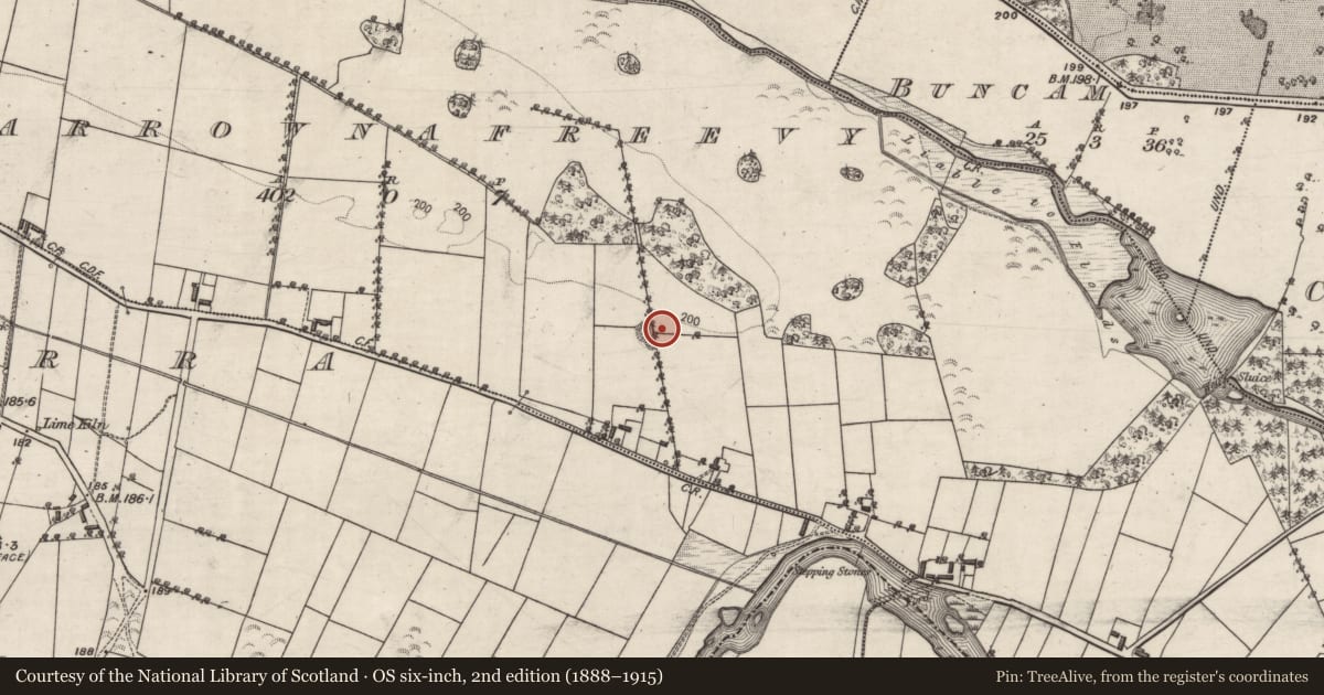 Ordnance Survey six-inch map, 2nd edition (1888–1915) covering the location of Designed landscape - tree-ring, Carrownafreevy, County Galway, with a pin at the register's coordinates