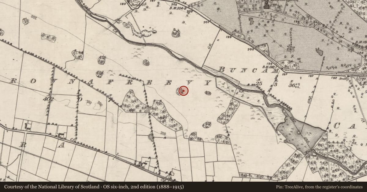 Ordnance Survey six-inch map, 2nd edition (1888–1915) covering the location of Designed landscape feature, Carrownafreevy, County Galway, with a pin at the register's coordinates