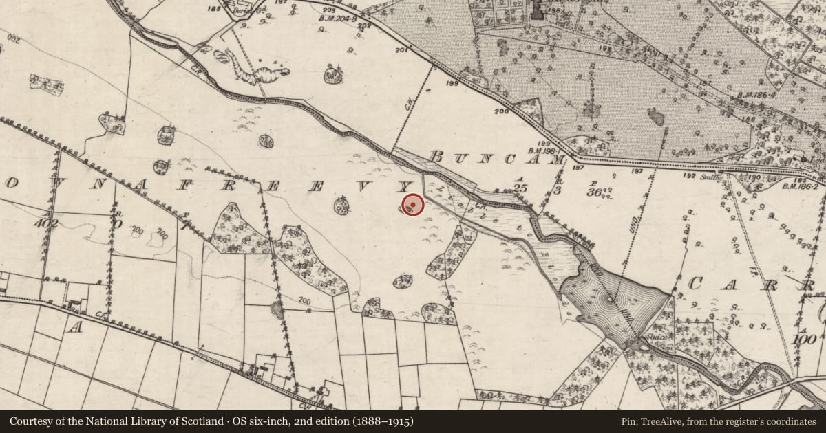 Ordnance Survey six-inch map, 2nd edition (1888–1915) covering the location of Designed landscape feature, Carrownafreevy, County Galway, with a pin at the register's coordinates