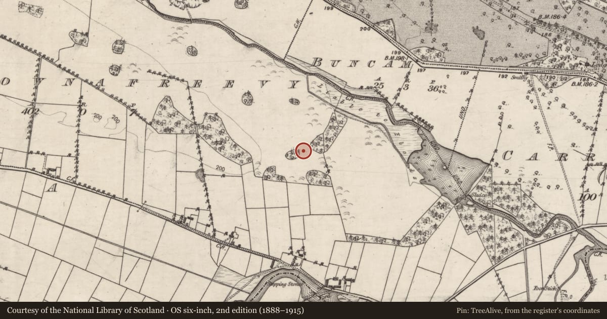 Ordnance Survey six-inch map, 2nd edition (1888–1915) covering the location of Designed landscape - tree-ring, Carrownafreevy, County Galway, with a pin at the register's coordinates
