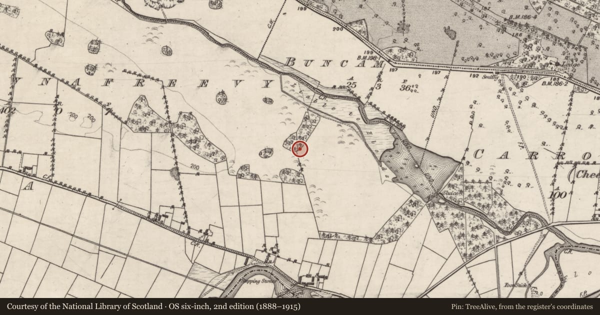 Ordnance Survey six-inch map, 2nd edition (1888–1915) covering the location of Children's burial ground, Carrownafreevy, County Galway, with a pin at the register's coordinates