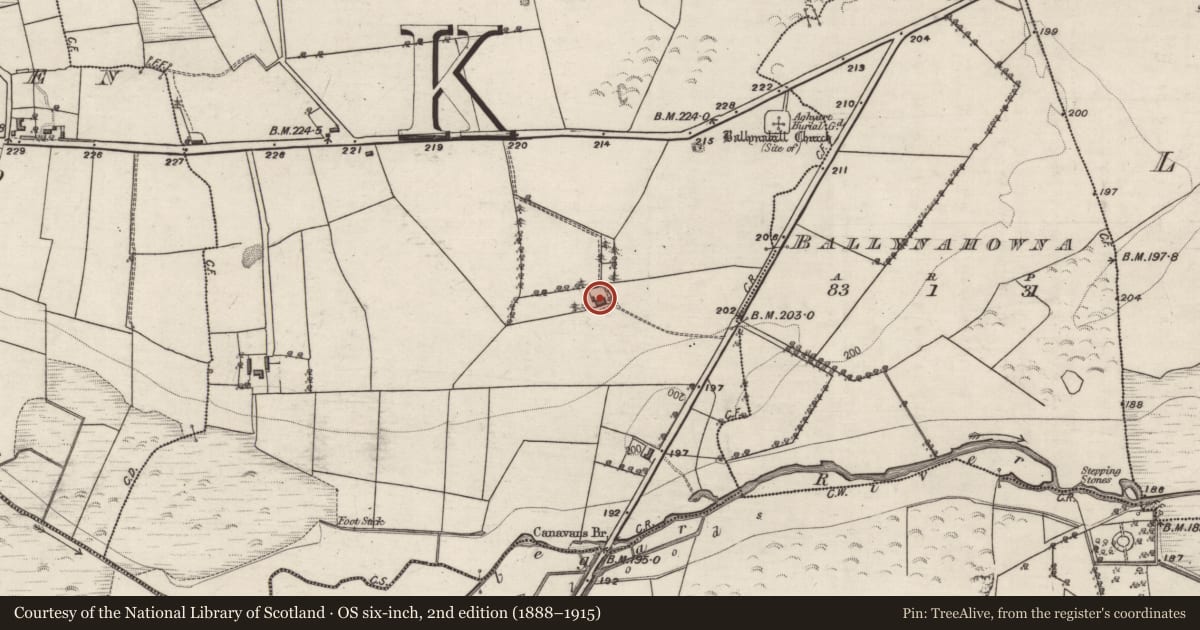 Ordnance Survey six-inch map, 2nd edition (1888–1915) covering the location of House - 18th/19th century, Carrownagannive, County Galway, with a pin at the register's coordinates