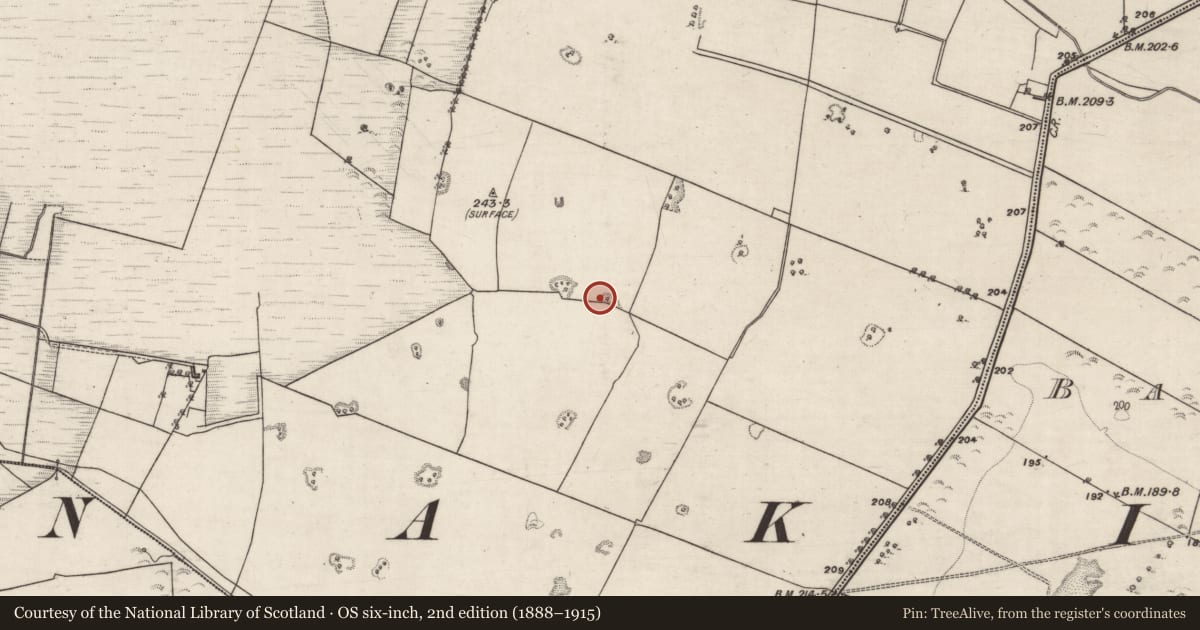 Ordnance Survey six-inch map, 2nd edition (1888–1915) covering the location of Quarry, Carrownagappul, County Galway, with a pin at the register's coordinates